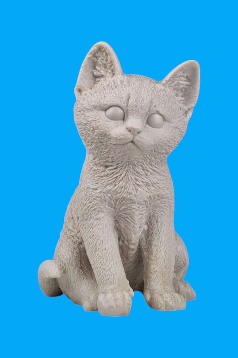 Sevimli Yavru Kedi Biblo Ham Polyester
