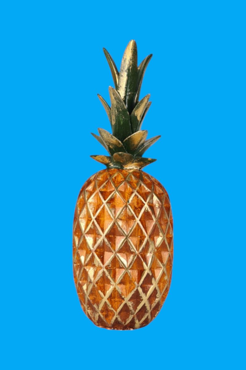 Ananas Orta Biblo Ham Polyester - Görsel 2
