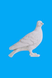 Güvercin 2 Biblo Ham Polyester