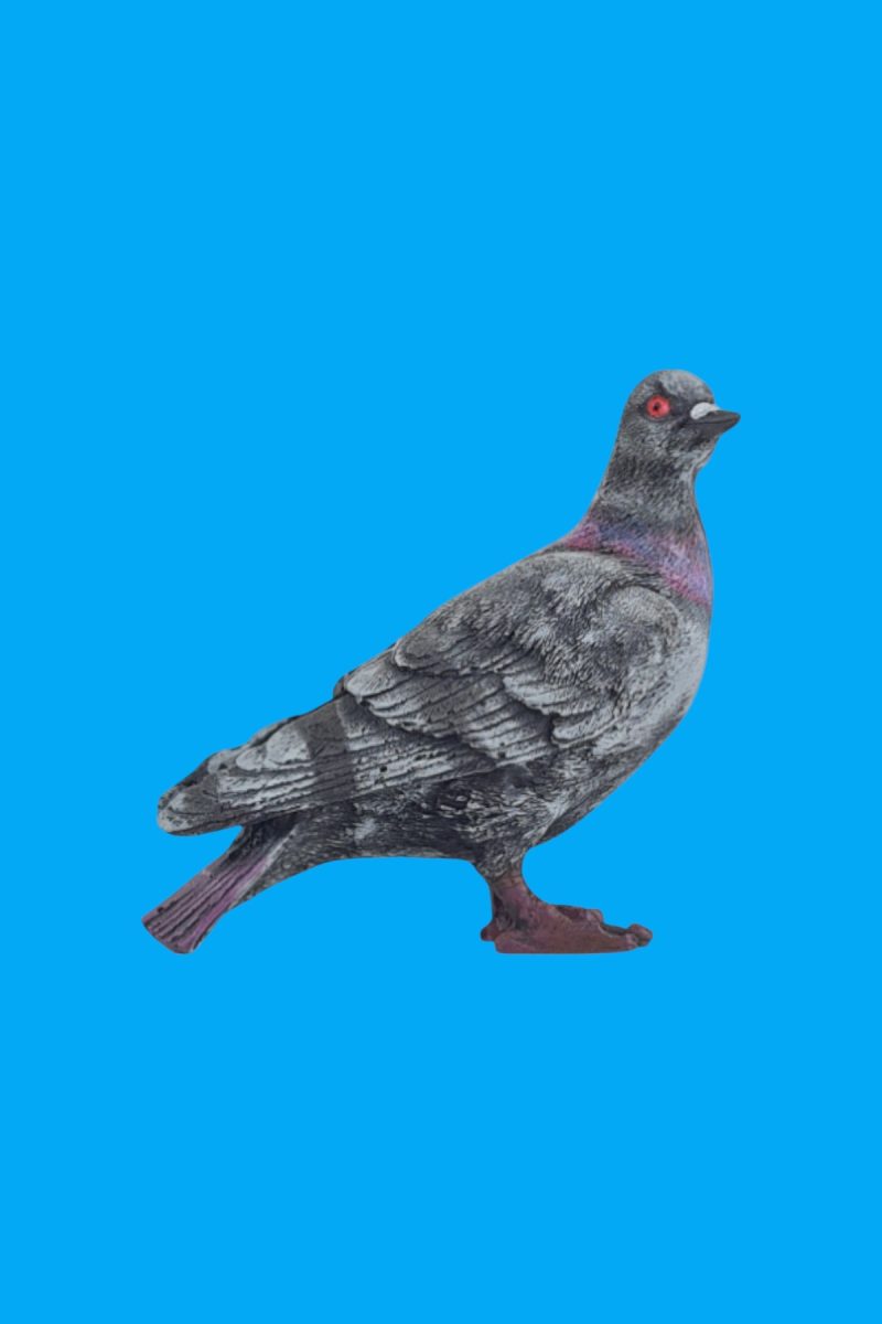 Güvercin 2 Biblo Ham Polyester - Görsel 2