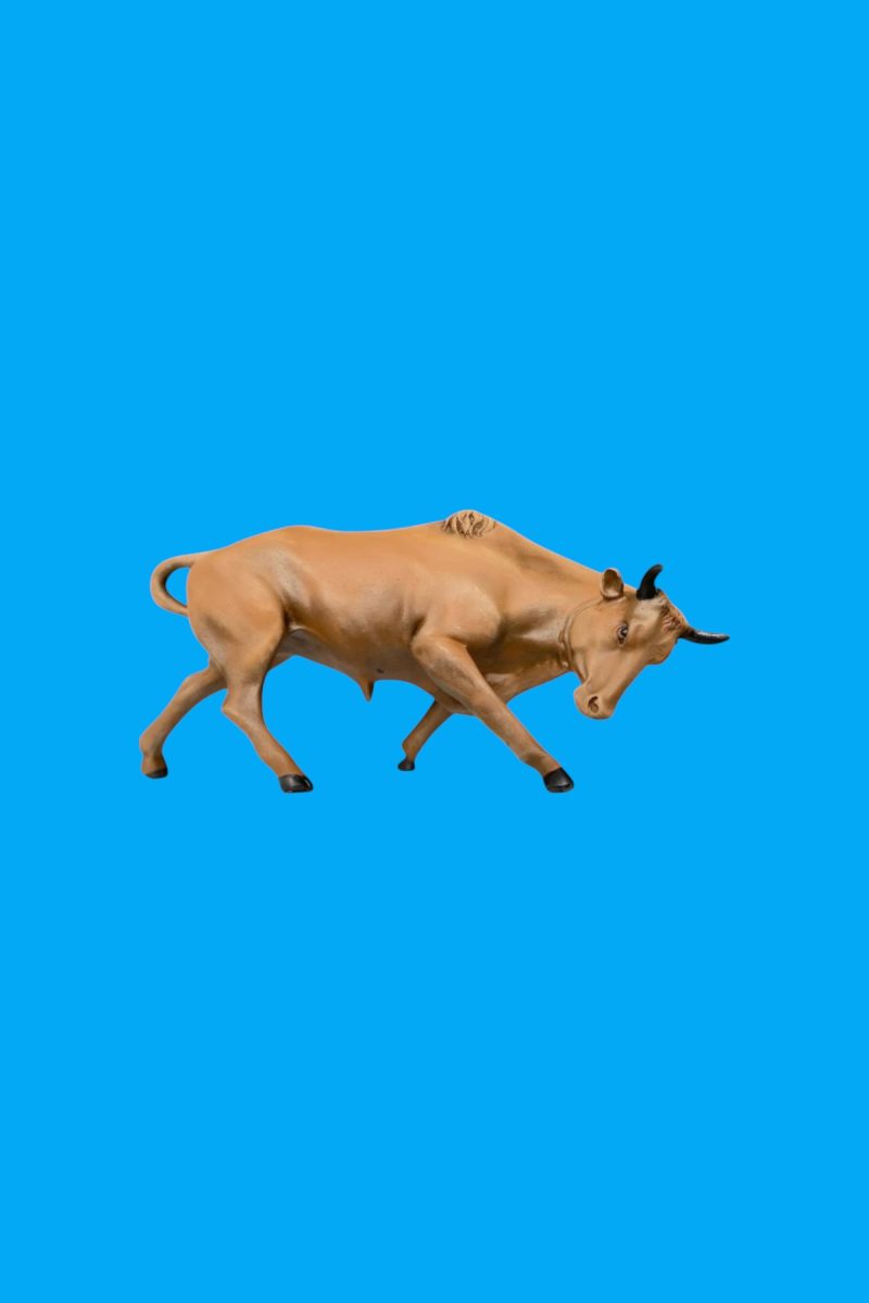 Boğa 2Biblo Ham Polyester - Görsel 2