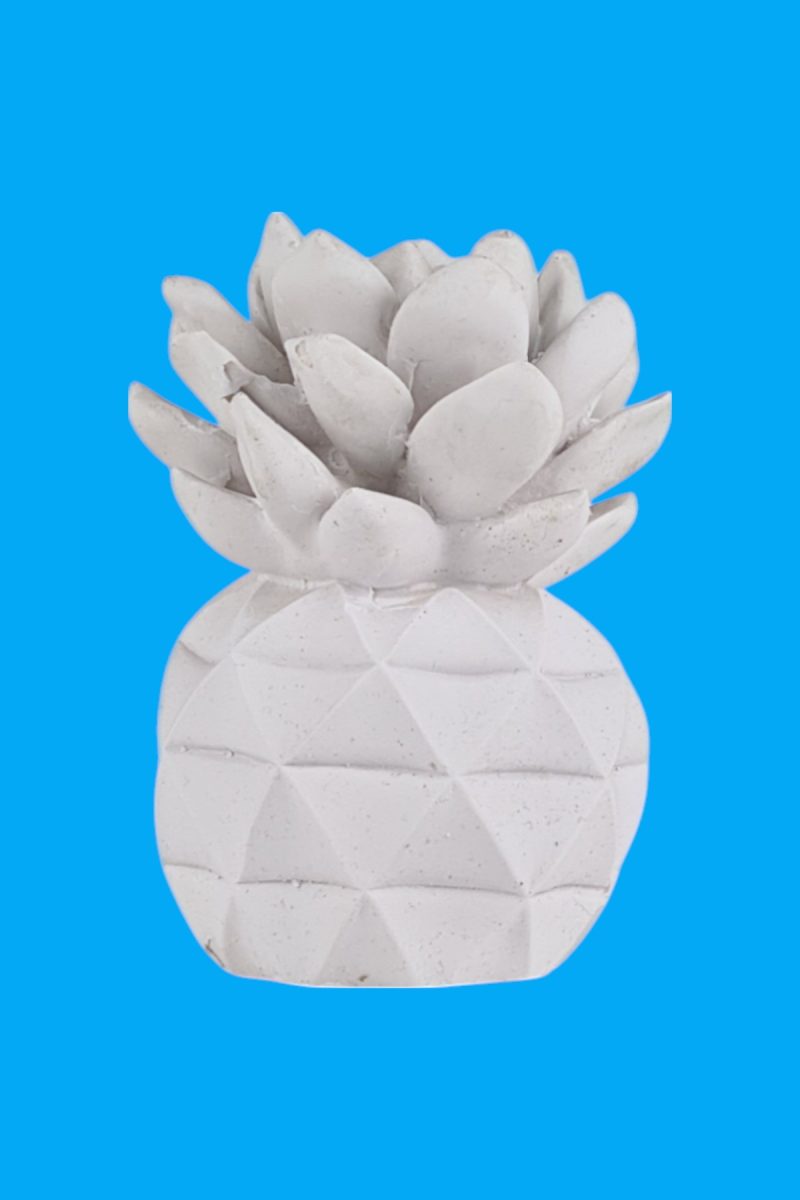 Ananas Mini Biblo Ham Polyester
