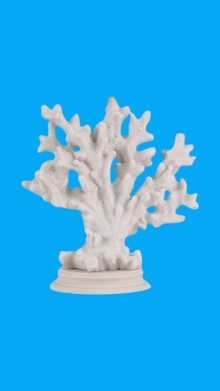 Kaideli Mercan Biblo Ham Polyester