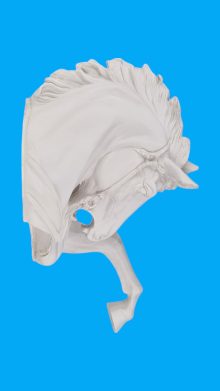 At Başı Duvar Süsü Ham Polyester