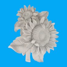 Ay Çiçeği Duvar Süsü Ham Polyester