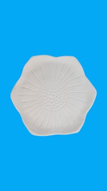 Altıgen Desenli Tabak Sunumluk Ham Polyester