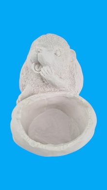 Kirpi Sukulent Saksı Ham Polyester