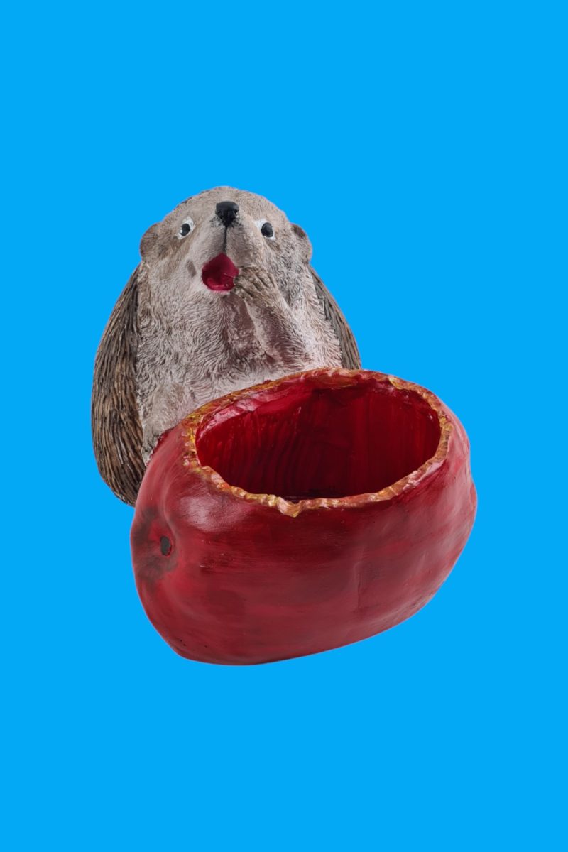 Kirpi Sukulent Saksı Ham Polyester - Görsel 2